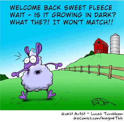 Haiku Ewe