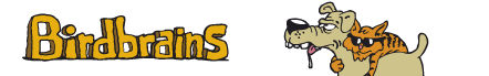 Birdbrains