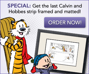 Calvin and Hobbes - Last Comic Framed Print!