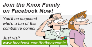 More_info_fort_knox_300x155