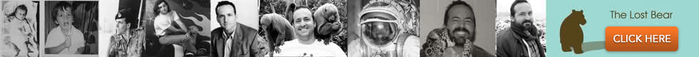 Lost-bear-banner