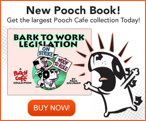 Pooch_book_ad