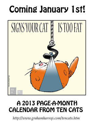 Signsyourcattoofat
