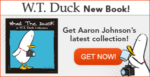 Wt-duck-book